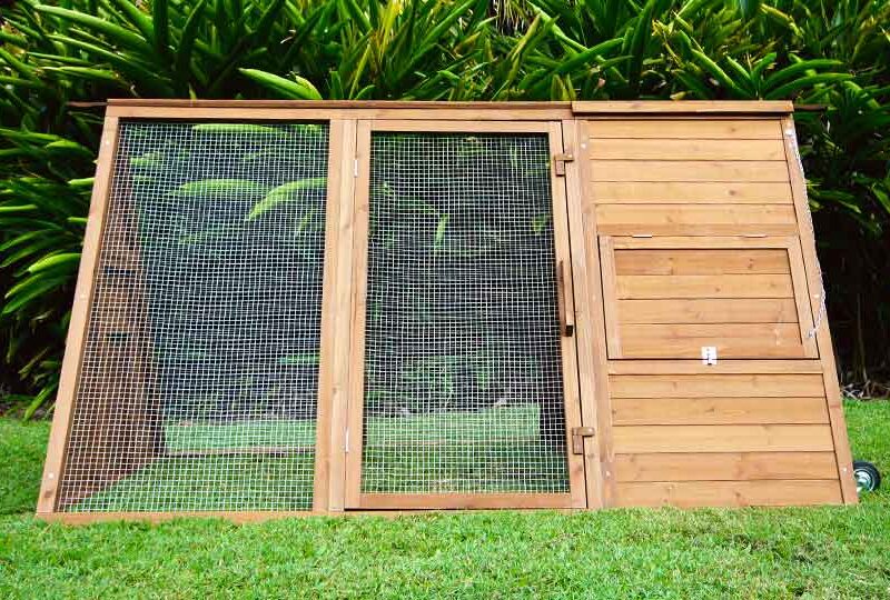 The Cluck House