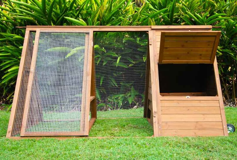 The Cluck House - Image 4